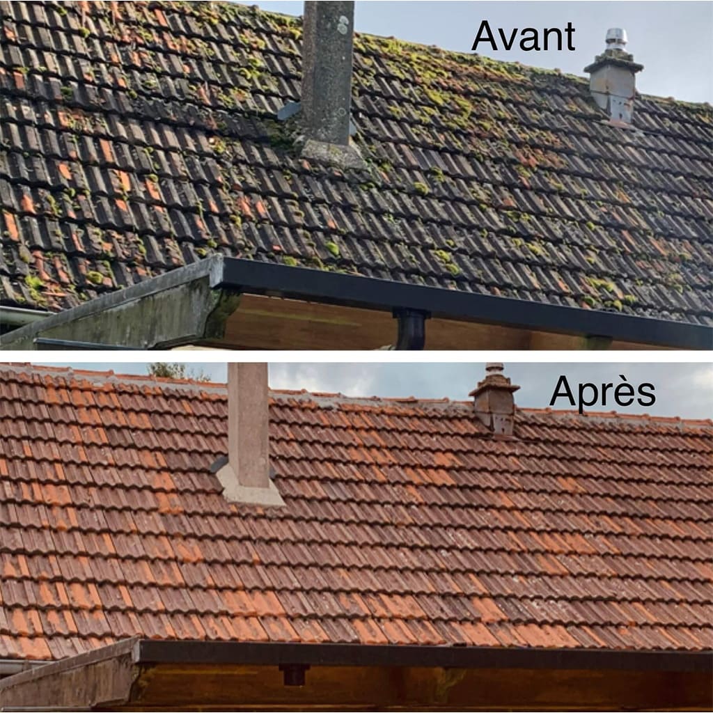 Démoussage de toiture AF Rénovation Gironde